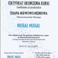 Powiększ obraz: certificate 5