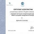 Powiększ obraz: certificate 13