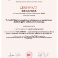 Powiększ obraz: certificate 10