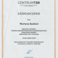 Powiększ obraz: certificate 2