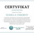 Powiększ obraz: certificate 2