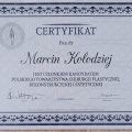 Powiększ obraz: certificate 1
