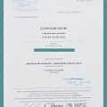 Powiększ obraz: certificate 1