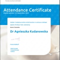 Powiększ obraz: certificate 19