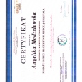Powiększ obraz: certificate 8