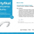 Powiększ obraz: certificate 7