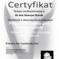 Powiększ obraz: certificate 6