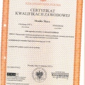 Powiększ obraz: certificate 1