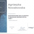Powiększ obraz: certificate 11