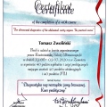 Powiększ obraz: certificate 41