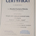 Powiększ obraz: certificate 2