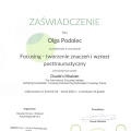 Powiększ obraz: certificate 19