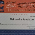 Powiększ obraz: certificate 15
