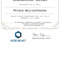 Powiększ obraz: certificate 13