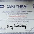 Powiększ obraz: certificate 3