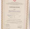 Powiększ obraz: certificate 3