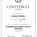 Powiększ obraz: certificate 3