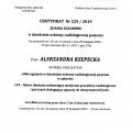 Powiększ obraz: certificate 2