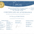 Powiększ obraz: certificate 29