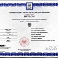 Powiększ obraz: certificate 2
