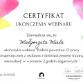 Powiększ obraz: certificate 6