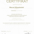 Powiększ obraz: certificate 13