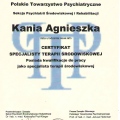 Powiększ obraz: certificate 3