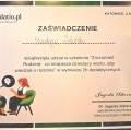 Powiększ obraz: certificate 3