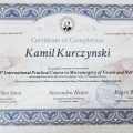 Powiększ obraz: certificate 1