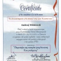 Powiększ obraz: certificate 3