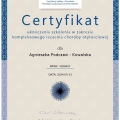 Powiększ obraz: certificate 1
