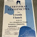 Powiększ obraz: certificate 2