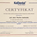 Powiększ obraz: certificate 1