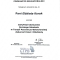 Powiększ obraz: certificate 10