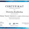 Powiększ obraz: certificate 4