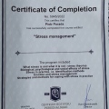 Powiększ obraz: certificate 7
