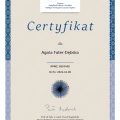 Powiększ obraz: certificate 2