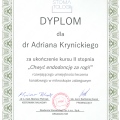 Powiększ obraz: certificate 11