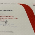 Powiększ obraz: certificate 3