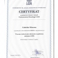 Powiększ obraz: certificate 3