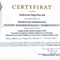 Powiększ obraz: certificate 20