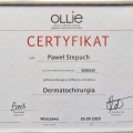 Powiększ obraz: certificate 5