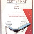 Powiększ obraz: certificate 13