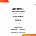 Powiększ obraz: certificate 11