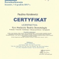 Powiększ obraz: certificate 4