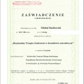 Powiększ obraz: certificate 3