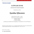 Powiększ obraz: certificate 3
