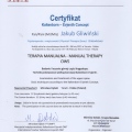Powiększ obraz: certificate 12