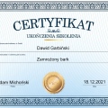 Powiększ obraz: certificate 9