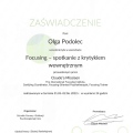 Powiększ obraz: certificate 22